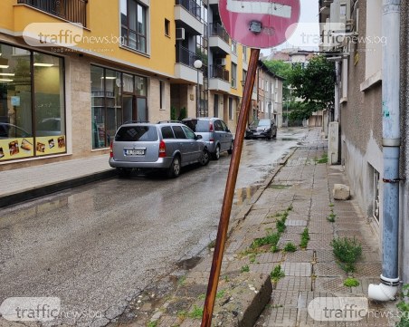 Коли спират масово на еднопосочна улица в Пловдив