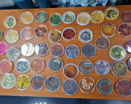 Млади българи правят картини от батерии и коли на водород