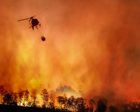 Горски пожари избухнаха в Южна Франция заради жегата, унищожиха 100 хектара
