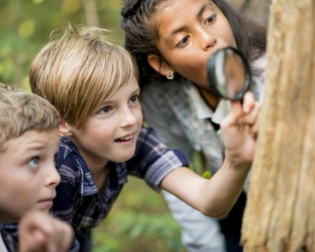 МОН осигурява безплатни школи по езици, музика и спорт за децата през лятото