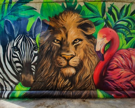 Тропическа джунгла се появи на моста на Гребната база