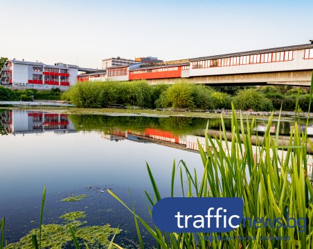 Зико: Да си вземем Пешеходния мост? По-добре да построим нова детска градина