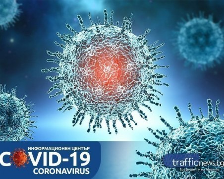 COVID кризата в цифри: 167 новозаразени, от тях 12 в Пловдив