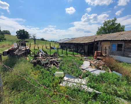 Изправят пред съда собственикът на кучето, нахапало 10-годишно дете