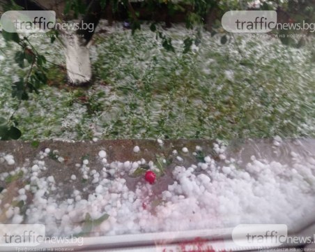 Земеделците от Садово ще получат 700 хил. лева