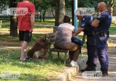 Продължават полицейските проверки в парк Рибница Служителите на реда проверяват