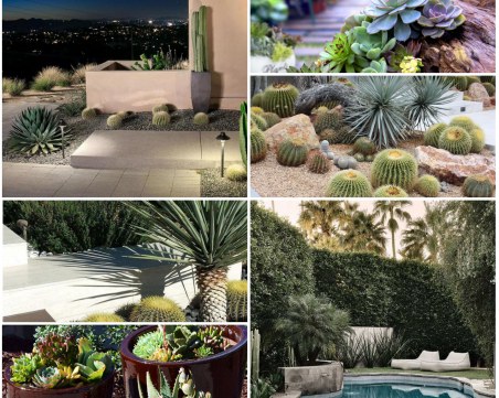 20 невероятни дизайна на градини с кактуси и сукуленти