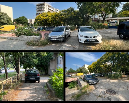 Един парк – много нарушители!  Автомобили превзеха тротоари и тревни площи в Пловдив