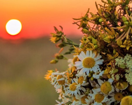 Еньовден е! Слънцето дава на водата лечебна сила