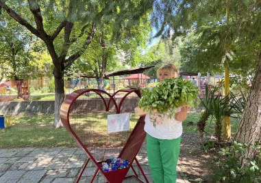 Над 20 000 летни цветя получават пловдивски детски градини и училища