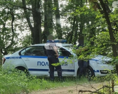 Откриха възрастна жена, загубила се в гора край Пазарджик