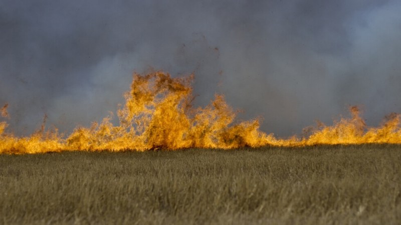Пожар е унищожил 600 декара пшеница в землището на село