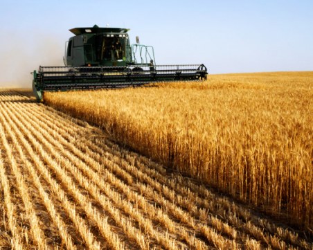 Зърното, което влиза у нас от Украйна, не подлежи на фитосанитарен контрол