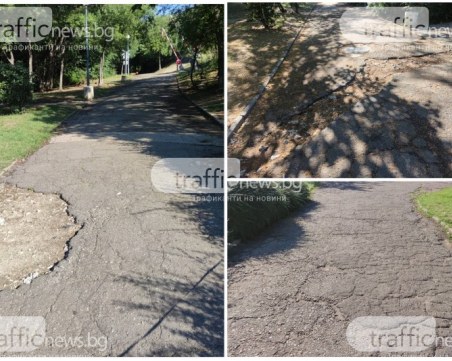 Ремонтират алеите на Младежкия хълм, възстановяват поливната система до върха