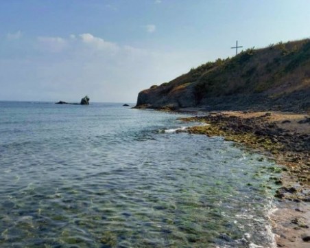 Заливът Корал става защитена морска територия