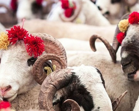 Mюсюлманите празнуват Курбан Байрам