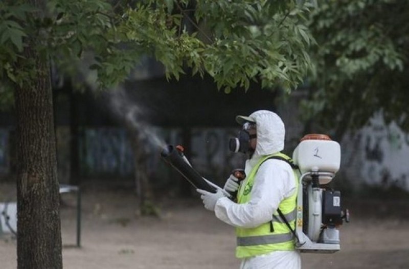 Продължава пръскането срещу комари в Пловдив