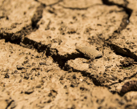 От 70 години насам: Най-лошата суша в Северна Италия зaплaшвa дocтaвĸитe нa зexтин, opиз и дoмaти