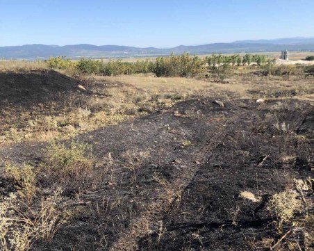 Над 800 декара сухи треви изгоряха в Пазарджишко, 30 души се бориха с пламъците