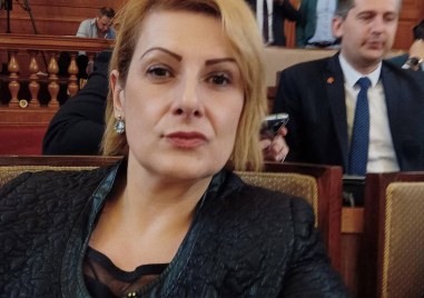 Пловдивският депутат Елена Гунчева публикува чат от който става ясно