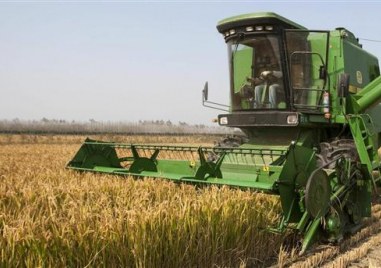 Зърнопроизводителите от цялата страна се готвят за протести Причина за