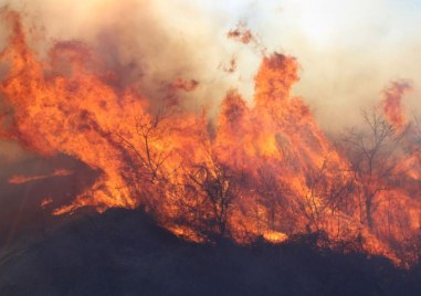 Над 12 хиляди души бяха евакуирани заради големите пожари в Южна