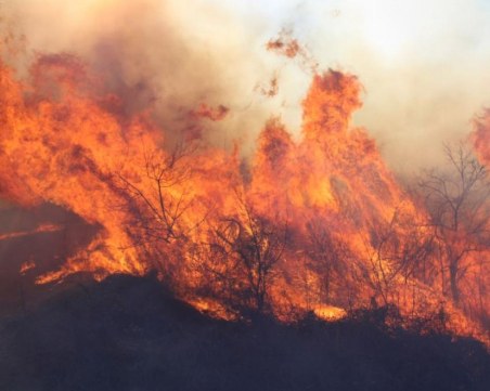 Хиляди евакуирани заради пожарите в Южна Европа