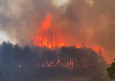 Голям пожар пламна в гориста местност в Казанлък днес предаде