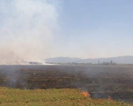 Сухи треви горят край село Царимир, огнеборците гасили 10 пожари за денонощието край Пловдив