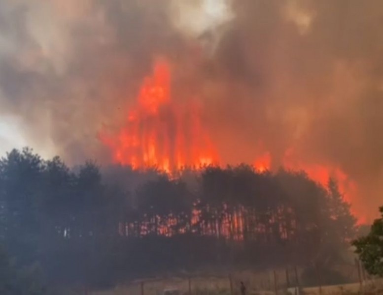 Голям пожар избухна на метри от бензиностанция край Казанлък