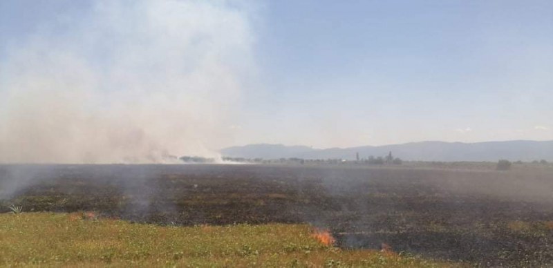 Сухи треви горят край село Царимир, огнеборците гасили 10 пожари за денонощието край Пловдив