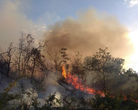 Няколко пожара гасиха огнеборците в Пловдивско, пускат екипи да дежурят през нощта