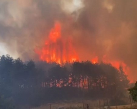Пожарът край Казанлък пламна отново