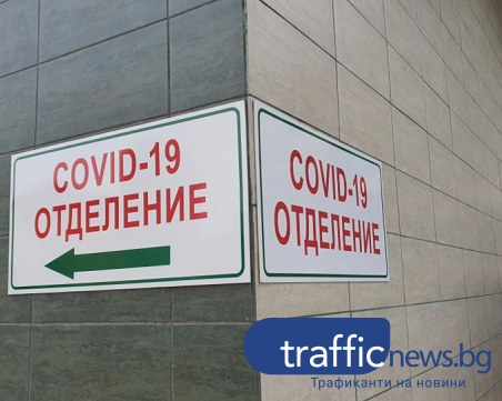 Проф. Кожухарова: Много малко хора се тестват, не можем да кажем колко са болните