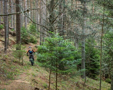 Горски инспектори проверяват Общинско предприятие - Копривщица