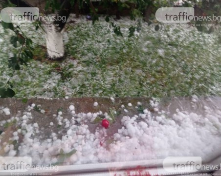 Земеделци получиха компенсации след опустошителната градушка в Садово