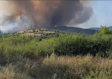 Пожарът който възникна между селата Калугерово и Лесичово край Пазарджик