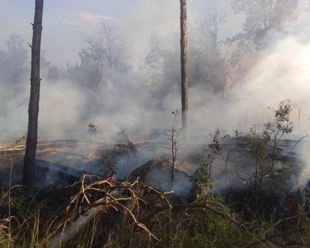 Два големи пожара бушуват в Хасковско