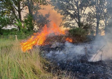 Вследствие на високите температури и сушата обстановката в област Пловдив