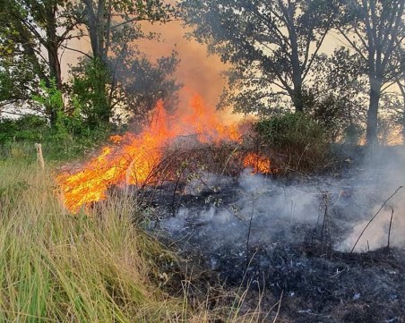 Огнеборци: Обстановката в Пловдивско е пожароопасна, бъдете бдителни!
