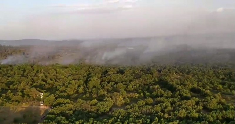 Голям пожар бушува до Калояново, застрашава вилните зони