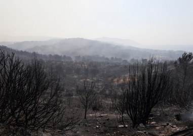 Няколко големи пожара бушуват в Гърция а горещата вълна която