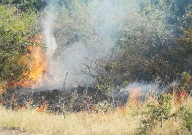 Голям пожар гори край бургаското село Изворище Седем вили напълно
