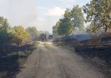 Пожарът край пловдивските села Сухозем Стрелци и Отец Паисиево е
