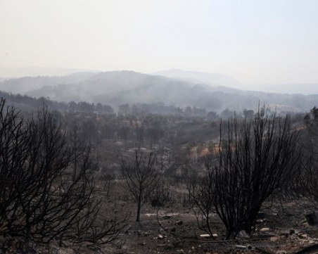 Няколко големи пожара бушуват в Гърция, евакуират хотели