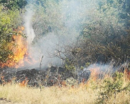 Пожар изгаря вили край Бургас, има евакуирани