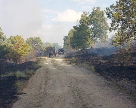 Три екипа на пожарната следят района на погасения пожар в Пловдивско