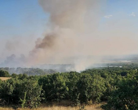 Военен вертолет се включи в гасенето на големия пожар край Калояново