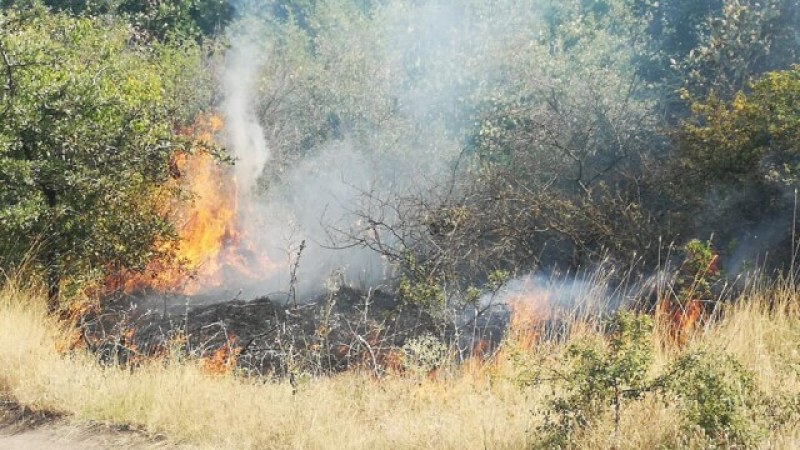Пожар изгаря вили край Бургас, има евакуирани