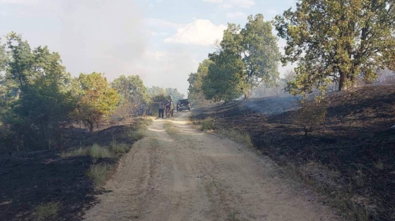 Три екипа на пожарната следят района на погасения пожар в Пловдивско